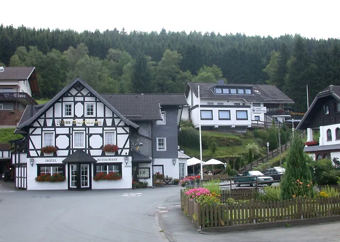 Hotel-restaurant Zum Dorfkrug Hotel *